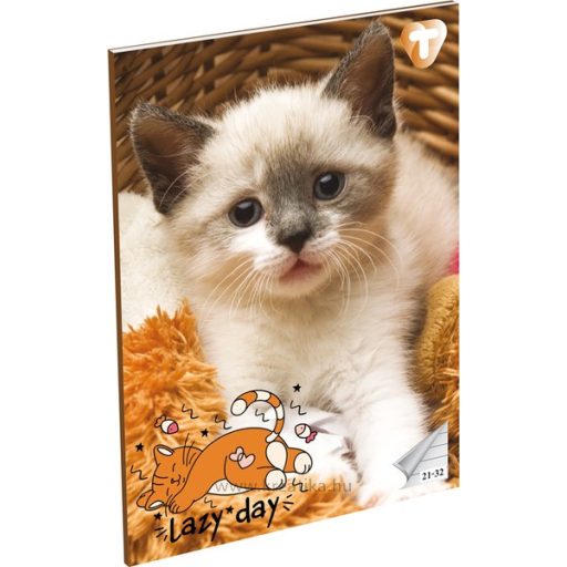 Füzet A/5 32 lapos, vonalas 21-32,  T-Creativ "Girls