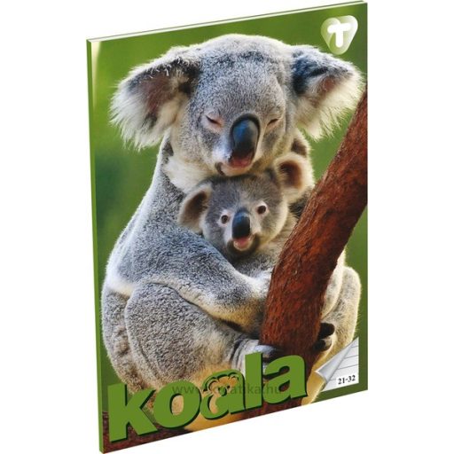 Füzet A/5 32 lapos, vonalas 21-32,  T-Creativ "Girls