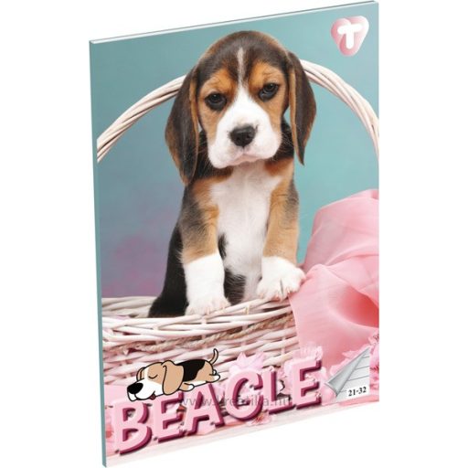 Füzet A/5 32 lapos, vonalas 21-32,  T-Creativ "Girls