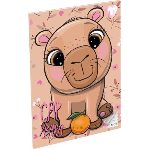 Füzet A/5 32 lapos, vonalas 21-32,  T-Creativ "Girls