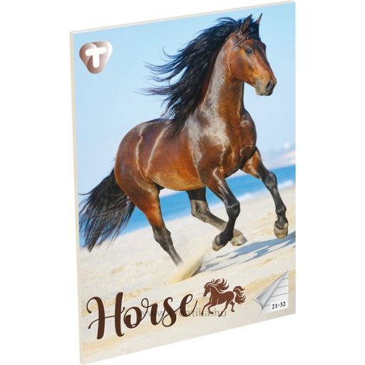 Füzet A/5 32 lapos, vonalas 21-32,  T-Creativ "Girls