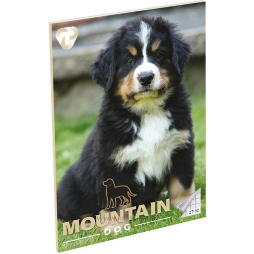 Füzet A/5 32 lapos, négyzetrácsos 27-32,  T-Creativ "Girls