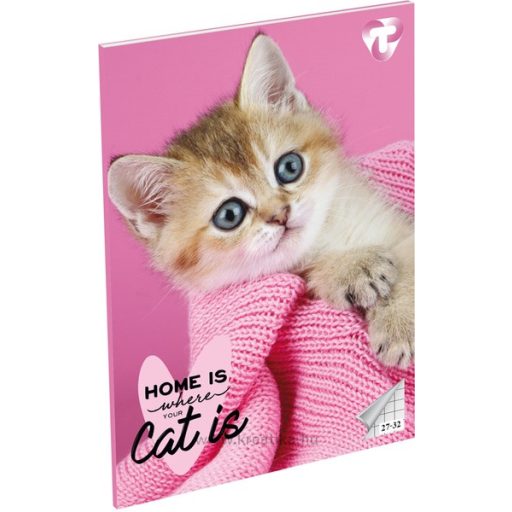 Füzet A/5 32 lapos, négyzetrácsos 27-32,  T-Creativ "Girls