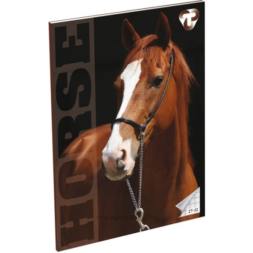 Füzet A/5 32 lapos, négyzetrácsos 27-32,  T-Creativ "Girls