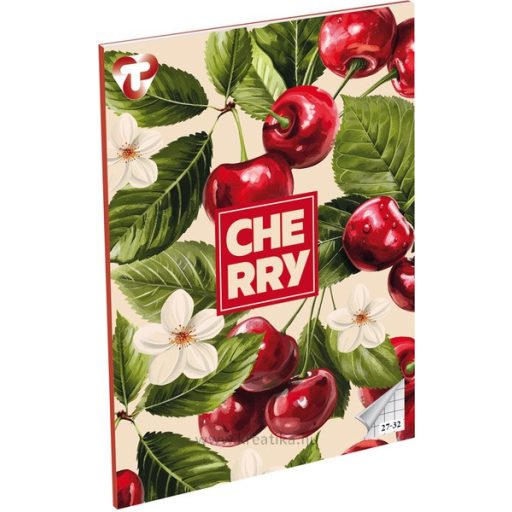 Füzet A/5 32 lapos, négyzetrácsos 27-32,  T-Creativ "Girls