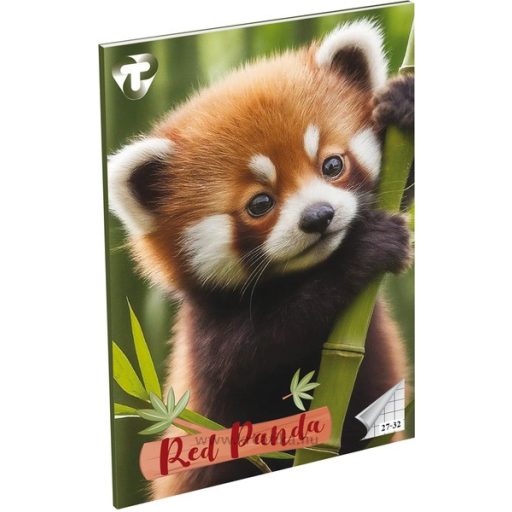 Füzet A/5 32 lapos, négyzetrácsos 27-32,  T-Creativ "Girls