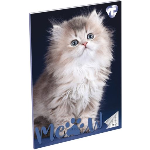 Füzet A/5 32 lapos, négyzetrácsos 27-32,  T-Creativ "Girls