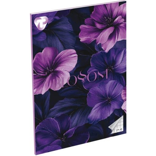 Füzet A/5 32 lapos, négyzetrácsos 27-32,  T-Creativ "Girls