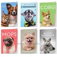 Füzet A/5 52 lapos, négyzetrácsos Octopus "Cool Pets