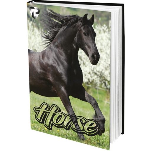 Napló A/5 48 lapos, sima T-Creativ