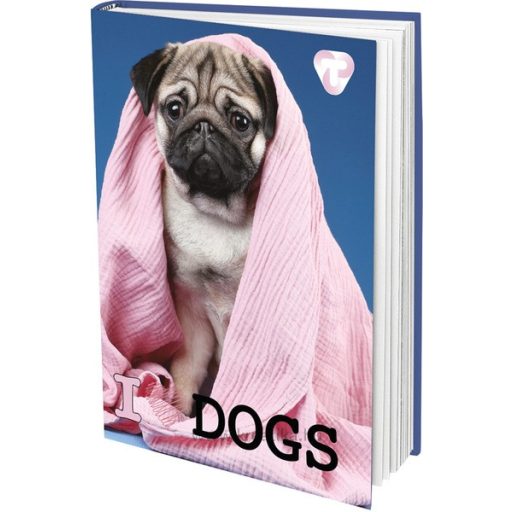 Napló A/5 48 lapos, sima T-Creativ