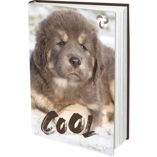 Napló A/5 48 lapos, vonalas T-Creativ