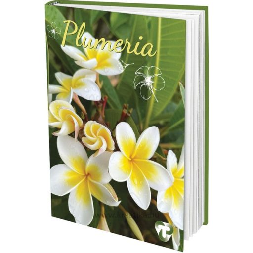 Napló A/5 48 lapos, vonalas T-Creativ