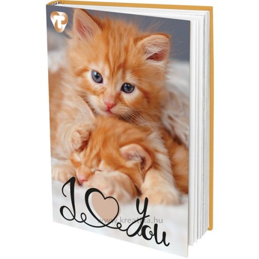 Napló A/5 48 lapos, vonalas T-Creativ