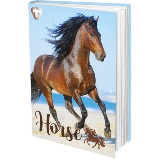 Napló A/5 48 lapos, vonalas T-Creativ