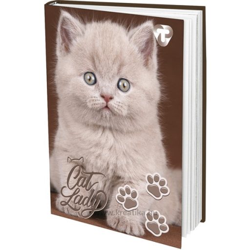 Napló A/5 48 lapos, négyzetrácsos T-Creativ "ECO