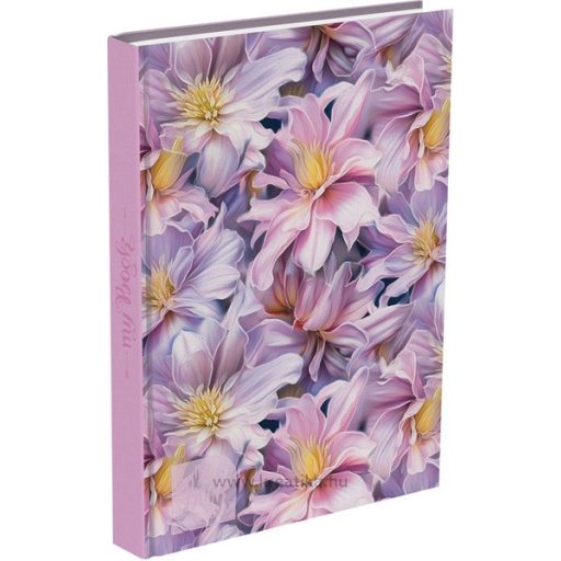 Napló A/5 160 lapos, pontozott T-Creativ "My Book