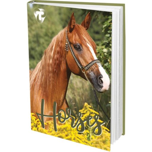 Napló A/6 48 lapos, sima T-Creativ