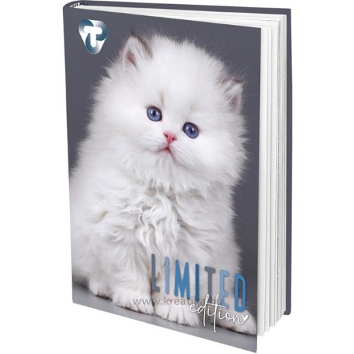 Napló A/6 48 lapos, sima T-Creativ