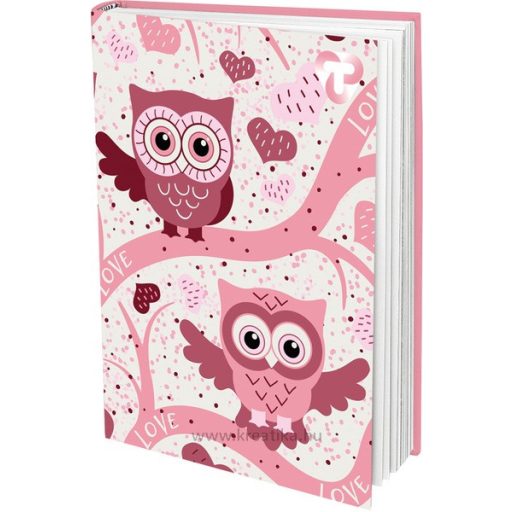 Napló A/6 48 lapos, sima T-Creativ