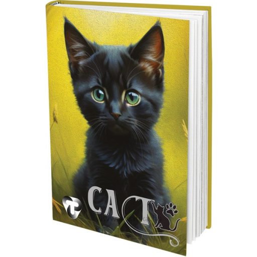 Napló A/6 48 lapos, sima T-Creativ