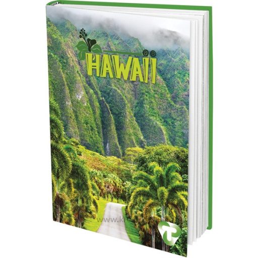 Napló A/6 48 lapos, sima T-Creativ