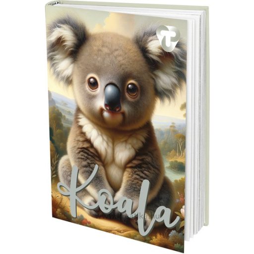 Napló A/6 48 lapos, sima T-Creativ