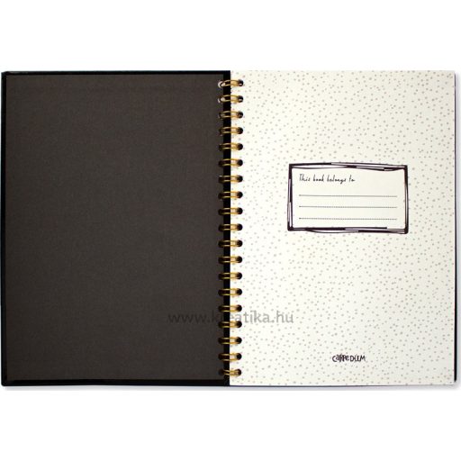 Spirálfüzet B/5 80 lapos, vonalas Pukka Pad "Carpe Diem" fekete