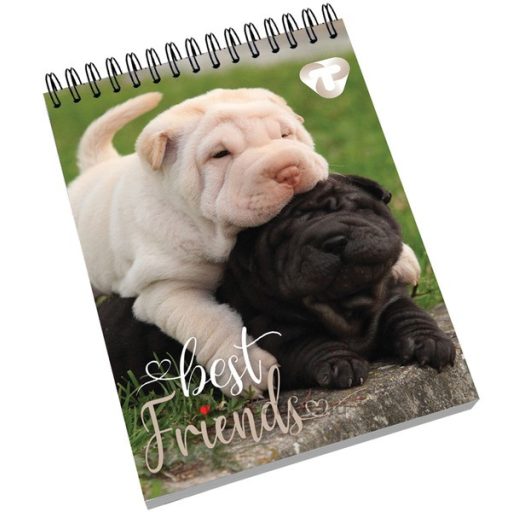 Spirálnotesz A/7 40 lapos, vonalas T-Creativ