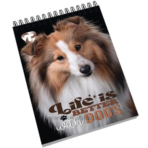 Spirálnotesz A/7 40 lapos, négyzetrácsos T-Creativ