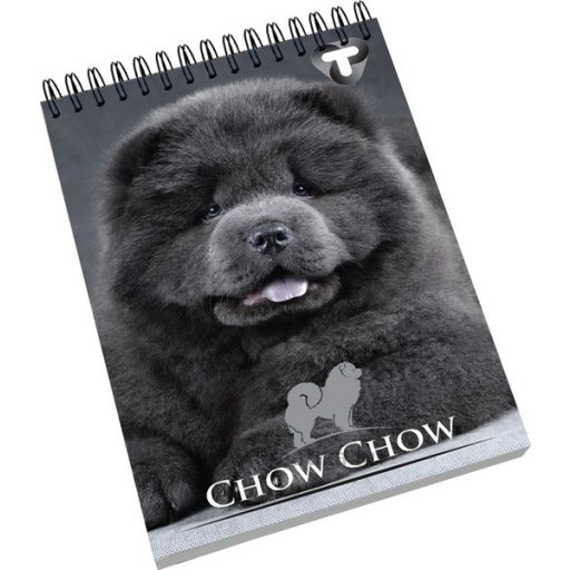 Spirálnotesz A/6 40 lapos, vonalas T-Creativ