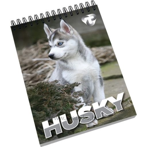 Spirálnotesz A/6 40 lapos, négyzetrácsos T-Creativ