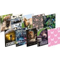 Notesz A/6 40 lapos, sima T-Creativ vegyes minta