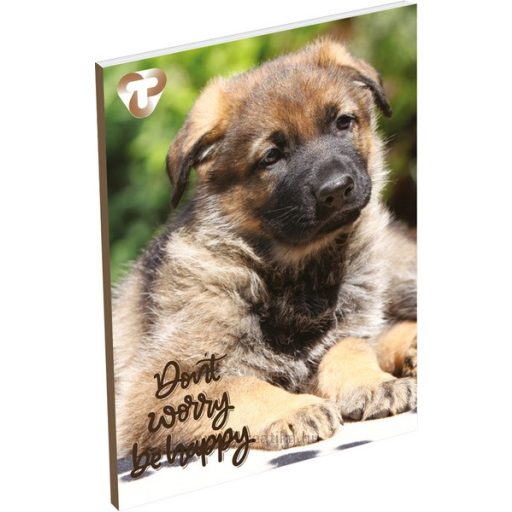 Notesz A/6 40 lapos, sima T-Creativ vegyes minta