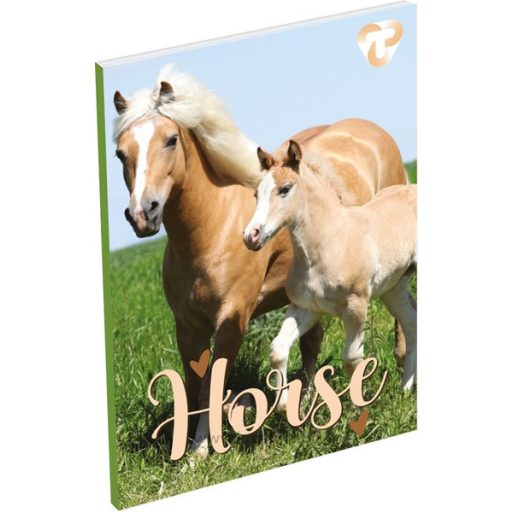 Notesz A/6 40 lapos, sima T-Creativ vegyes minta