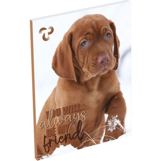 Notesz A/7 40 lapos, sima T-Creativ vegyes minta