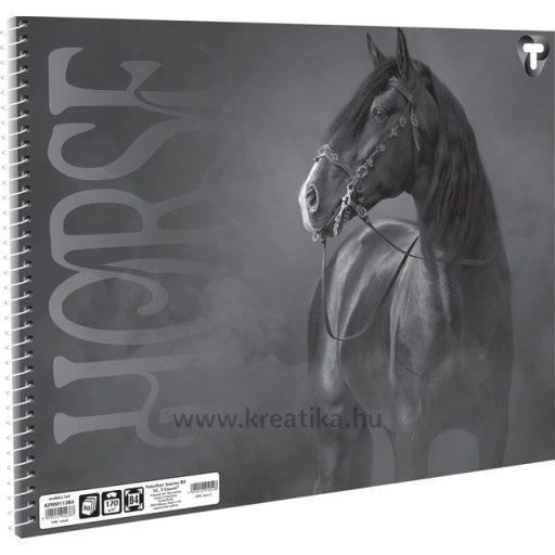 Vázlatfüzet B/4 30 lapos, 170 g T-Creativ