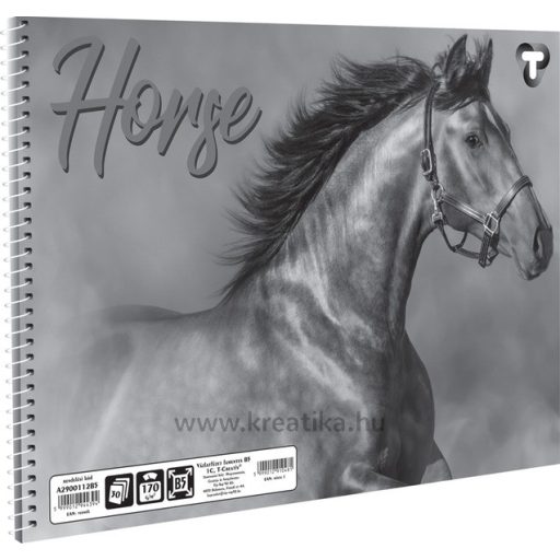 Vázlatfüzet B/5 30 lapos, 170 g T-Creativ