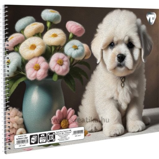 Vázlatfüzet B/5 30 lapos, 170 g T-Creativ