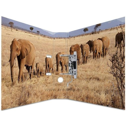 Iratrendező A/4, 70 mm Herma "Animal" Afrikai állatok