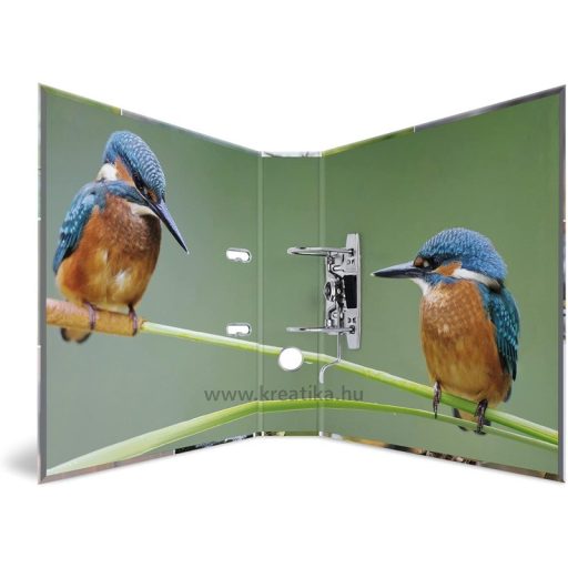 Iratrendező A/4 70 mm Herma "Animal Worlds" Madarak