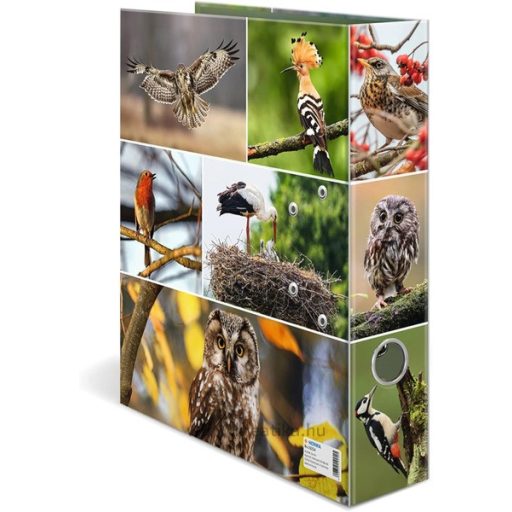 Iratrendező A/4 70 mm Herma "Animal Worlds" Madarak
