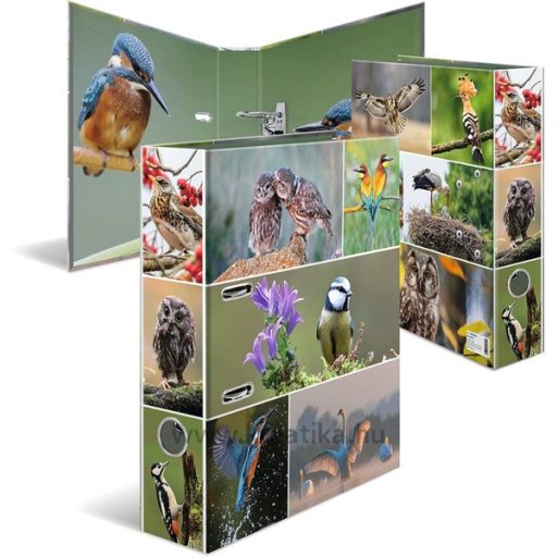 Iratrendező A/4 70 mm Herma "Animal Worlds" Madarak
