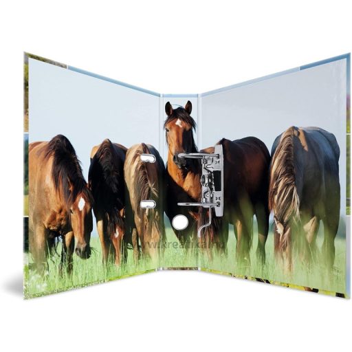 Iratrendező A/4 70 mm Herma "Animal Worlds" Lovak