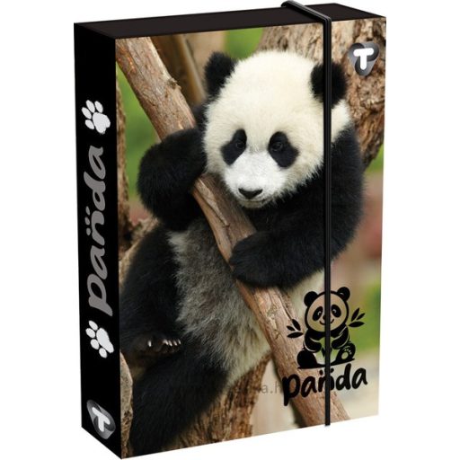 Füzetbox A/4 60 mm T-Creativ