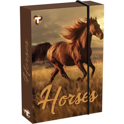 Füzetbox A/4 60 mm T-Creativ