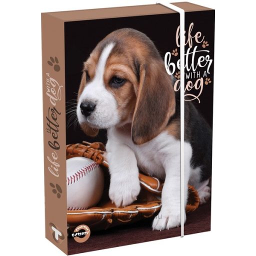 Füzetbox A/4 60 mm T-Creativ