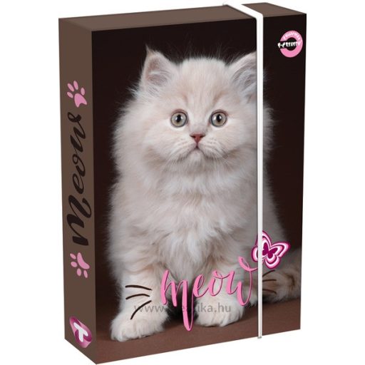 Füzetbox A/4 60 mm T-Creativ