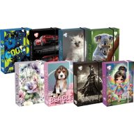 Füzetbox A/5 45 mm T-Creativ