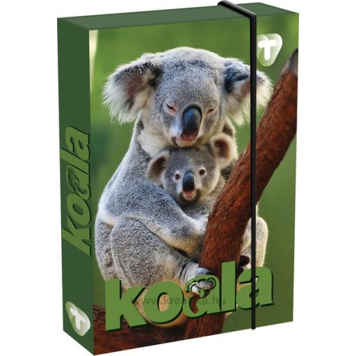 Füzetbox A/5 45 mm T-Creativ